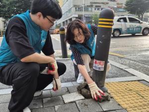 강동구, 동장 권한 강화...“발로 뛰며 현장 목소리 귀 기울여”